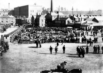 Cattle and Wholesale Market, Kidderminster, 1900 by English Photographer